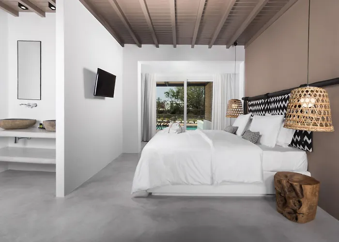 米科诺斯酒店 4*